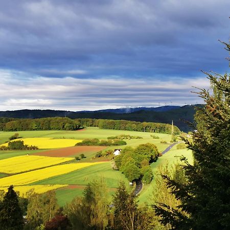Geraeumige 2-Z Wohnung Im Gruenen, Garten, Terrasse, Ruhig, Natur, Phantastischer Blick! Marburg Dış mekan fotoğraf