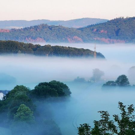 Geraeumige 2-Z Wohnung Im Gruenen, Garten, Terrasse, Ruhig, Natur, Phantastischer Blick! Marburg Dış mekan fotoğraf