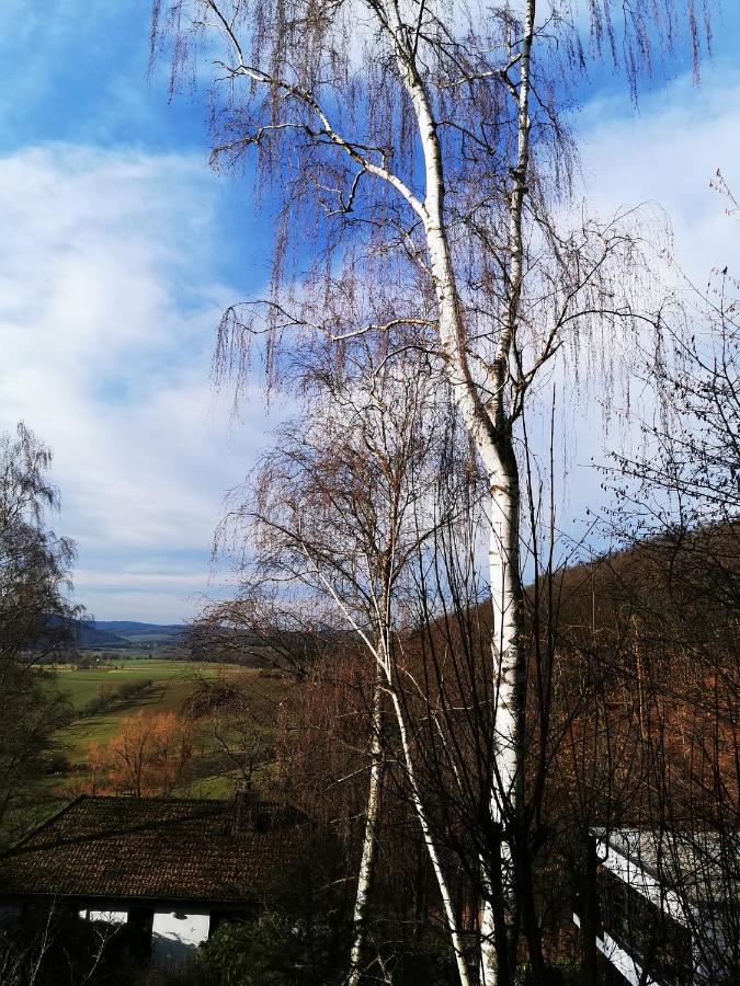 Geraeumige 2-Z Wohnung Im Gruenen, Garten, Terrasse, Ruhig, Natur, Phantastischer Blick! Marburg Dış mekan fotoğraf
